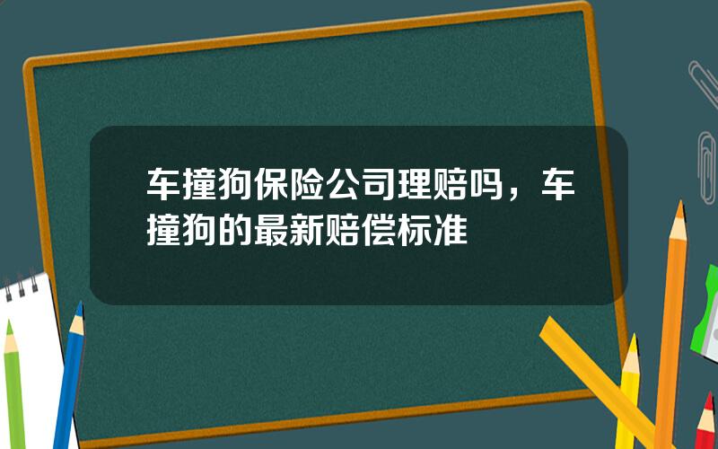 车撞狗保险公司理赔吗，车撞狗的最新赔偿标准