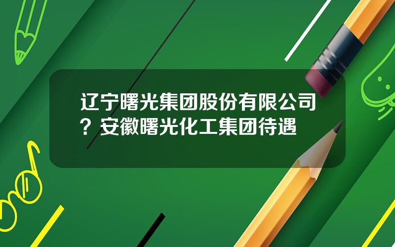 辽宁曙光集团股份有限公司？安徽曙光化工集团待遇