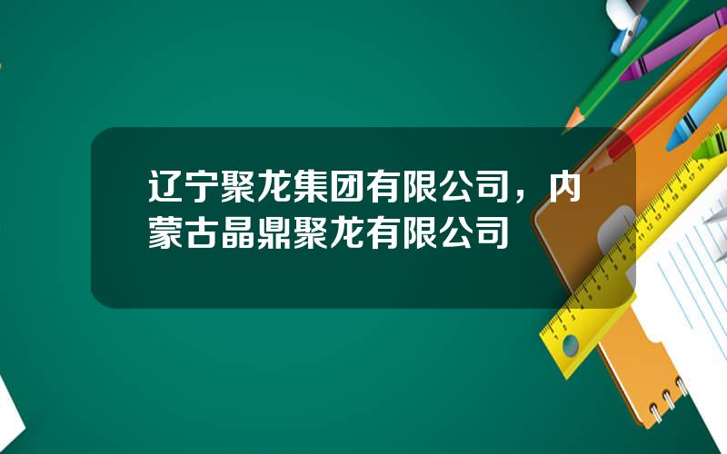 辽宁聚龙集团有限公司，内蒙古晶鼎聚龙有限公司