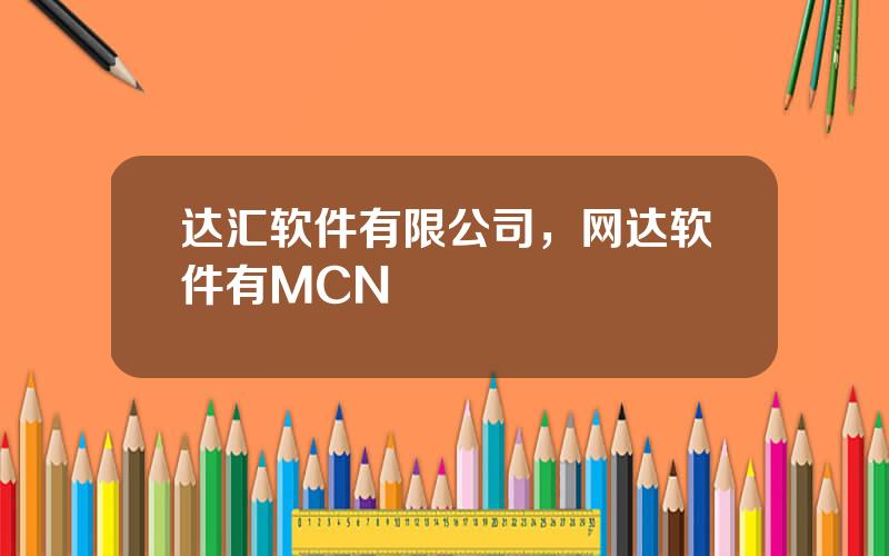 达汇软件有限公司，网达软件有MCN