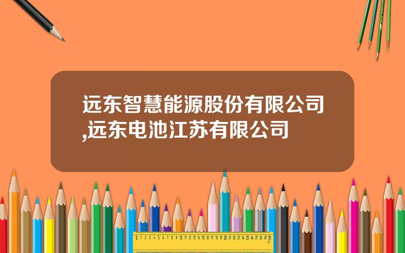 远东智慧能源股份有限公司,远东电池江苏有限公司