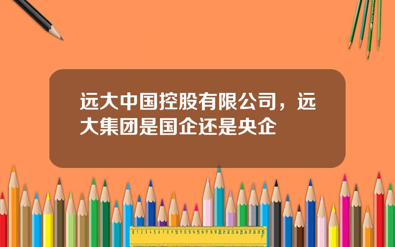 远大中国控股有限公司，远大集团是国企还是央企