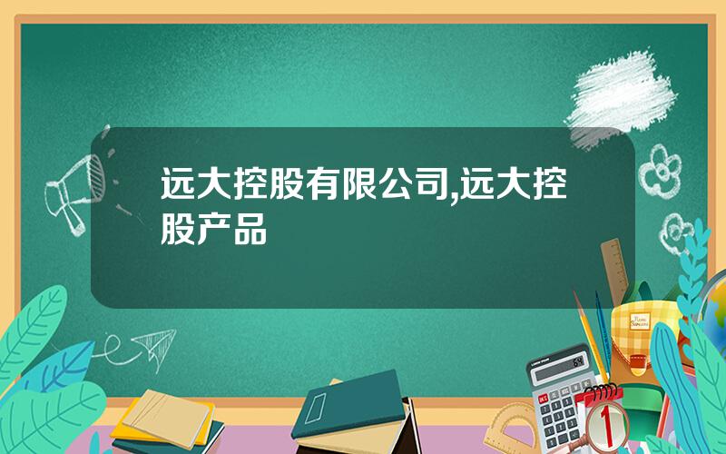 远大控股有限公司,远大控股产品