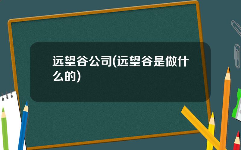 远望谷公司(远望谷是做什么的)