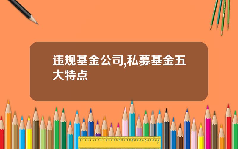 违规基金公司,私募基金五大特点