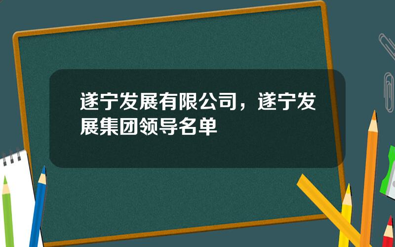 遂宁发展有限公司，遂宁发展集团领导名单