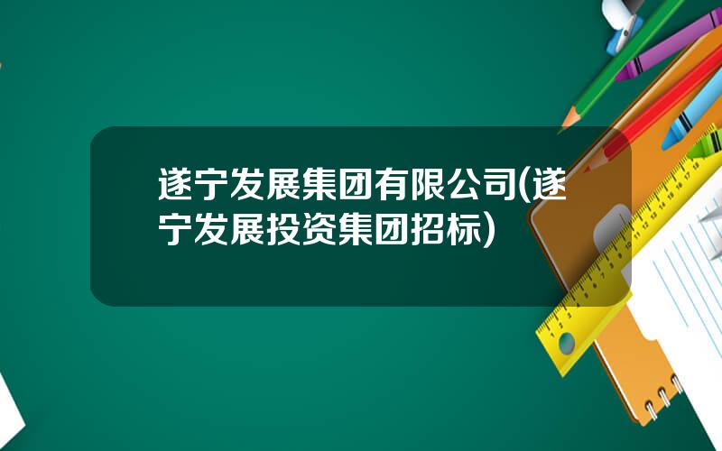 遂宁发展集团有限公司(遂宁发展投资集团招标)