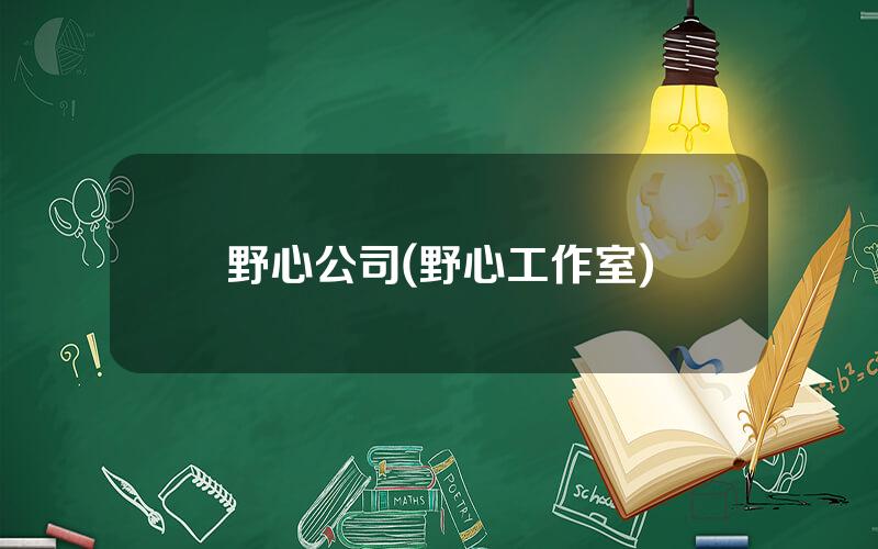 野心公司(野心工作室)