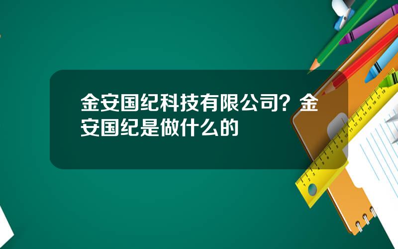 金安国纪科技有限公司？金安国纪是做什么的