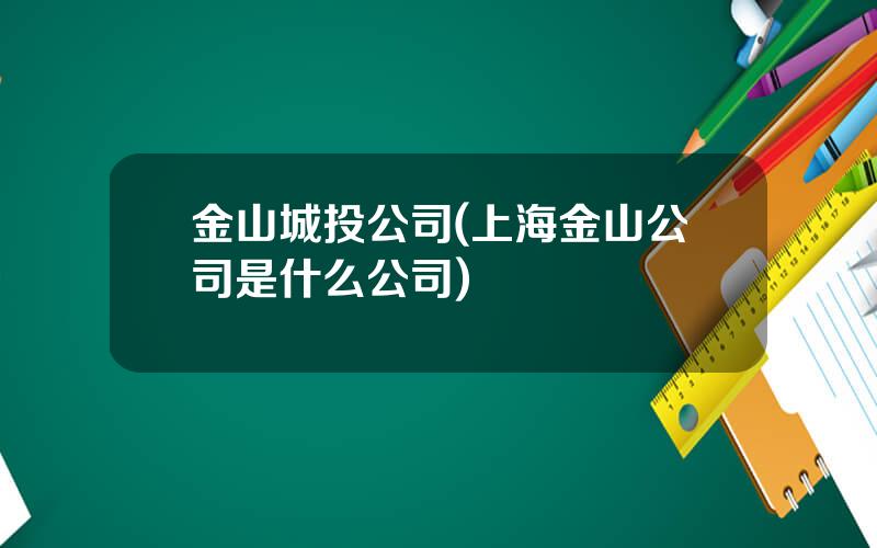 金山城投公司(上海金山公司是什么公司)