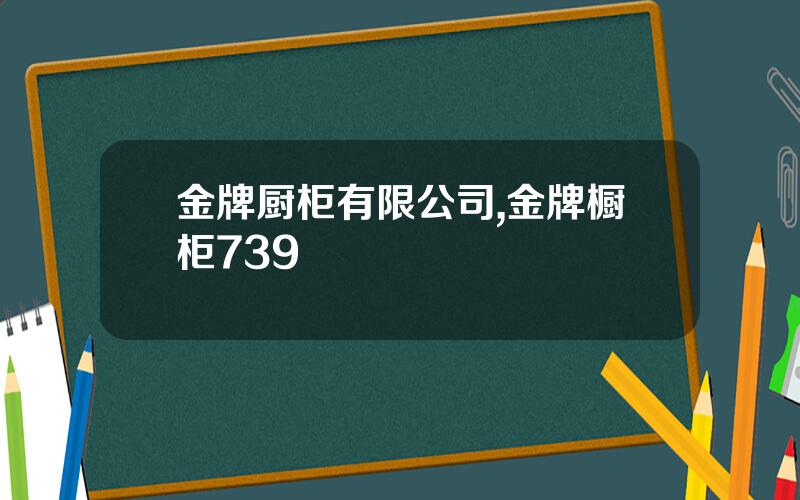金牌厨柜有限公司,金牌橱柜739
