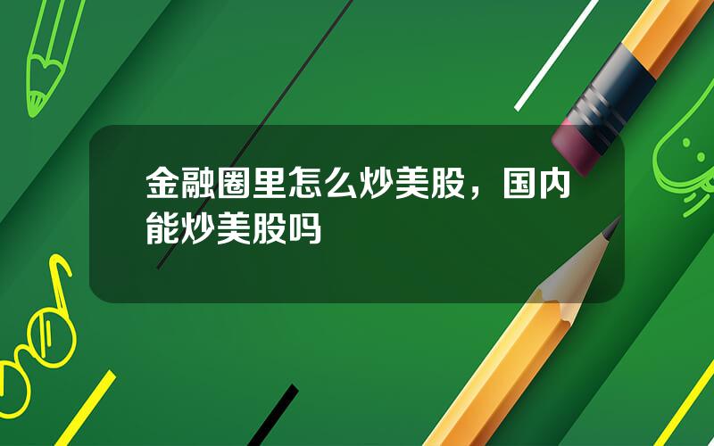 金融圈里怎么炒美股，国内能炒美股吗