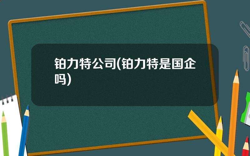 铂力特公司(铂力特是国企吗)