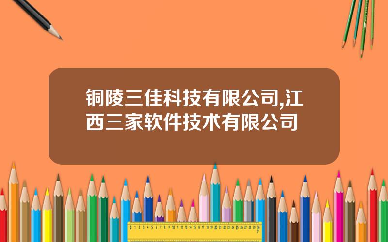 铜陵三佳科技有限公司,江西三家软件技术有限公司