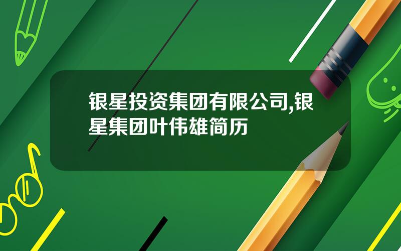 银星投资集团有限公司,银星集团叶伟雄简历
