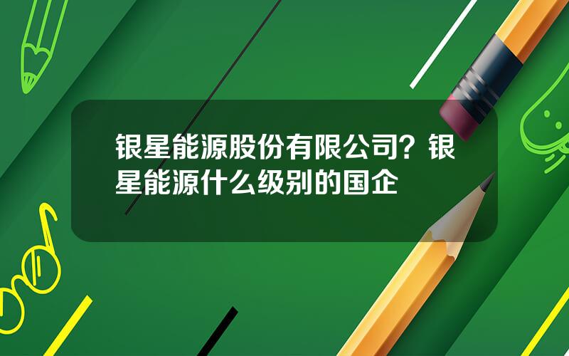 银星能源股份有限公司？银星能源什么级别的国企
