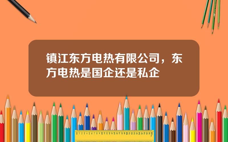 镇江东方电热有限公司，东方电热是国企还是私企