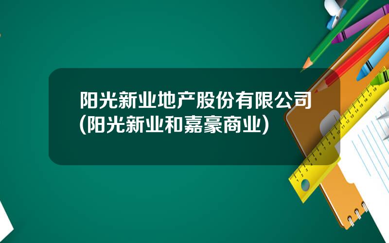 阳光新业地产股份有限公司(阳光新业和嘉豪商业)