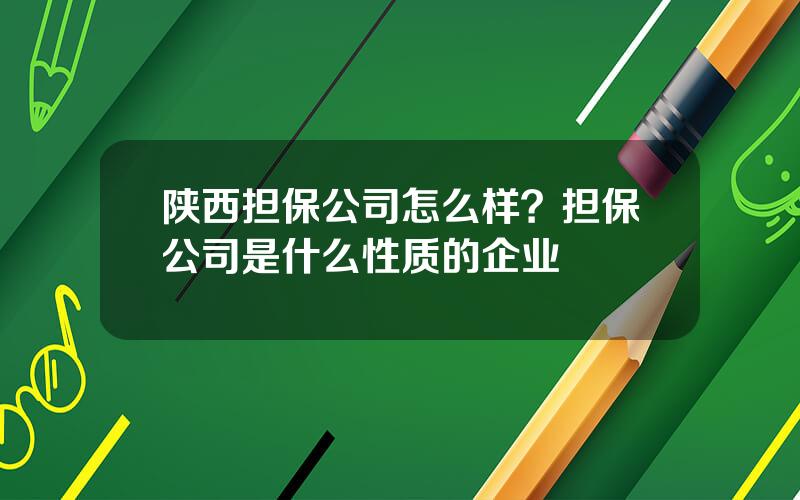 陕西担保公司怎么样？担保公司是什么性质的企业