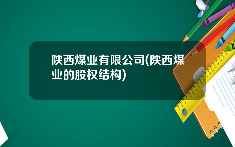 陕西煤业有限公司(陕西煤业的股权结构)