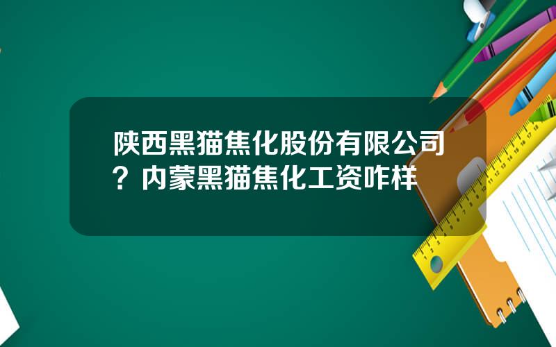 陕西黑猫焦化股份有限公司？内蒙黑猫焦化工资咋样