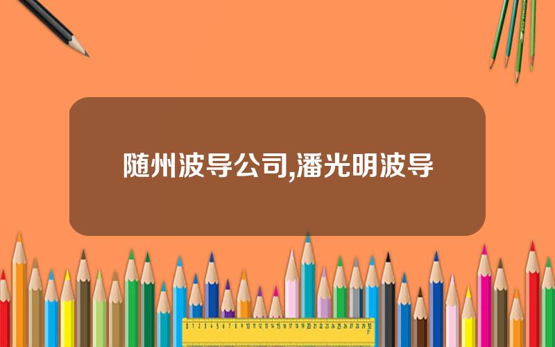 随州波导公司,潘光明波导