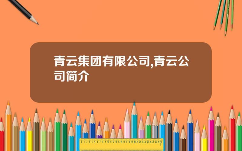 青云集团有限公司,青云公司简介