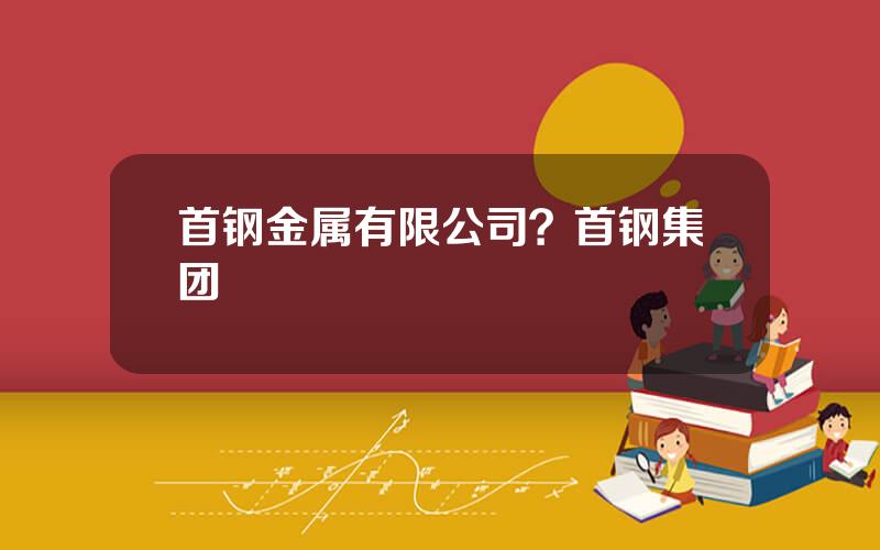 首钢金属有限公司？首钢集团
