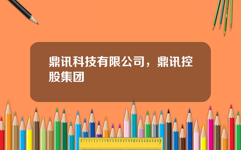 鼎讯科技有限公司，鼎讯控股集团